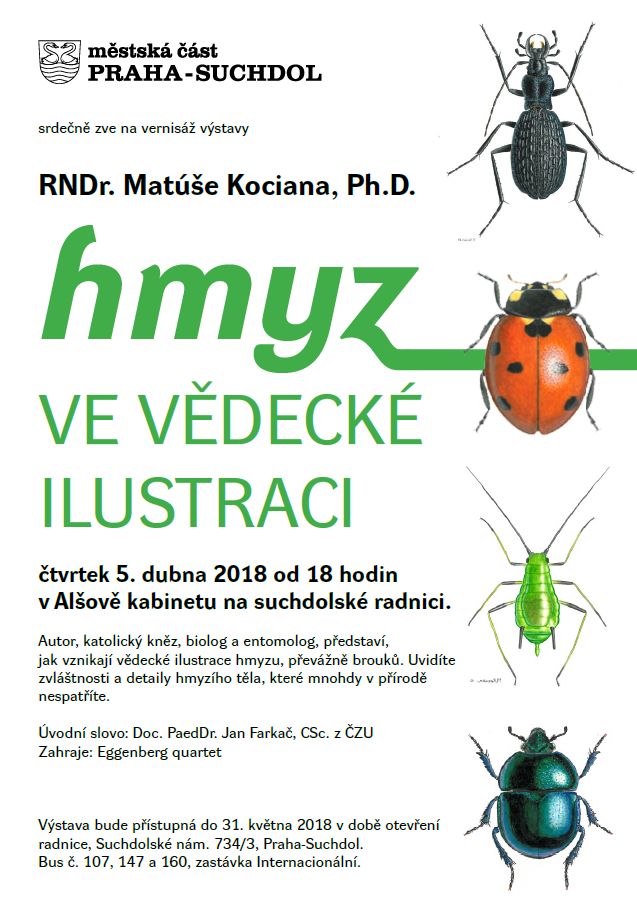 Hmyz ve vědecké ilustraci, výstava Matúš Kocian 180405